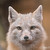 :iconjack-joystick: