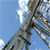 :iconjack-skellingtin: