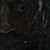 :iconjackaburl: