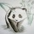 :iconjackadi: