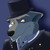 :iconjackal-wolf: