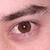 :iconJackalAnubis: