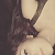 :iconjackassette: