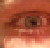 :iconjackattack13: