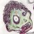 :iconjackd87: