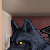 :iconjackdarkstone: