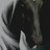 :iconjackdaw-studios: