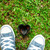 :iconjackecl-whatever: