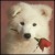 :iconjackelpdw: