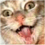 :iconjackerslope: