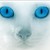 :iconjackiegirl13: