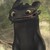 :iconjackiejodude: