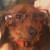 :iconjackiemally: