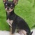 :iconjackiemcneal: