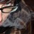 :iconjackieripper1888: