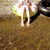 :iconjackieungg: