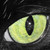 :iconjackjack87: