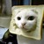 :iconjackjack888: