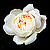 :iconjackpearceblog: