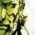 :iconjackpliskin:
