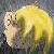 :iconjackpossible: