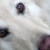 :iconjackpot700: