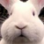 :iconjackwest: