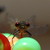 :iconjackwphotos: