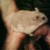 :iconjacky-1994: