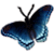 :iconjacky-h: