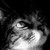 :iconjaco52222: