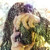 :iconjacob-forsyth-davies: