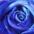 :iconjacob-must-die: