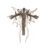 :iconjacobius-maximus: