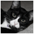 :iconJacobM06: