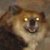 :iconjacobsmacob: