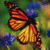 :iconjacquelinerae: