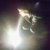 :iconjacquesisola: