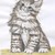 :iconjacquipillustrator: