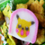 :iconjade-cascade:
