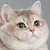 Jade-ChompChomps :iconjade-chompchomps: