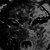 :iconjade-fae: