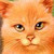 :iconjadecoolgirl123: