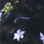 :iconjaded737: