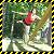 :iconjadedbyentropy: