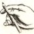 jadedtempest :iconjadedtempest: