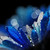 :iconjadeicefire: