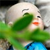 :iconjadekin: