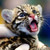 :iconjadesecret: