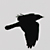 :iconjadeshadows:
